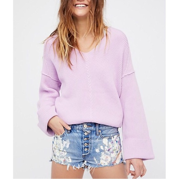 Free People Pants - Free People We The Free Painters Denim Shorts NWOT